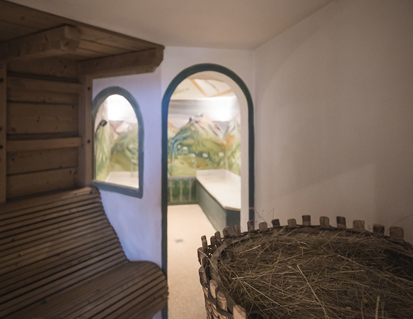 L'Hotel alpenhof è un family 4 stelle per le vacanze delle famiglie con bambini in Val Pusteria in Sudtirolo