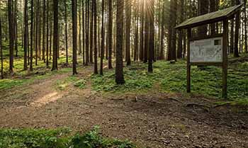 vai all'offerta dell'hotel alpenrose - vacanzebimbi vacanze per famiglie con bambini in Alto Adige 