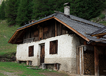 L'Hotel Tirol è un 3 stelle per le vacanze delle famigie con bambini in hotel per famiglie a montesover nella valle cembra