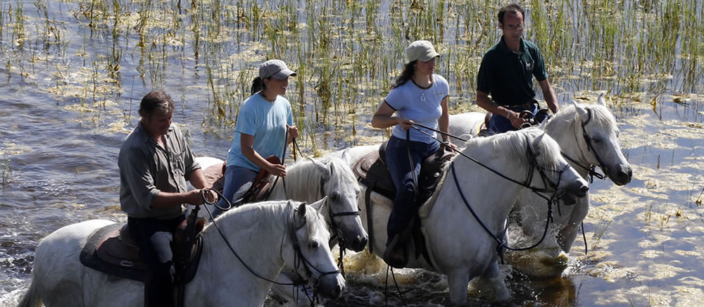 vacanze a cavallo equitazione e maneddio della spiaggia romea villaggio turistico per le vacanze delle famiglie con bambini in romagna
