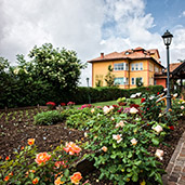 esstrno e giardino di rose dell'antico albergo stella d'italia